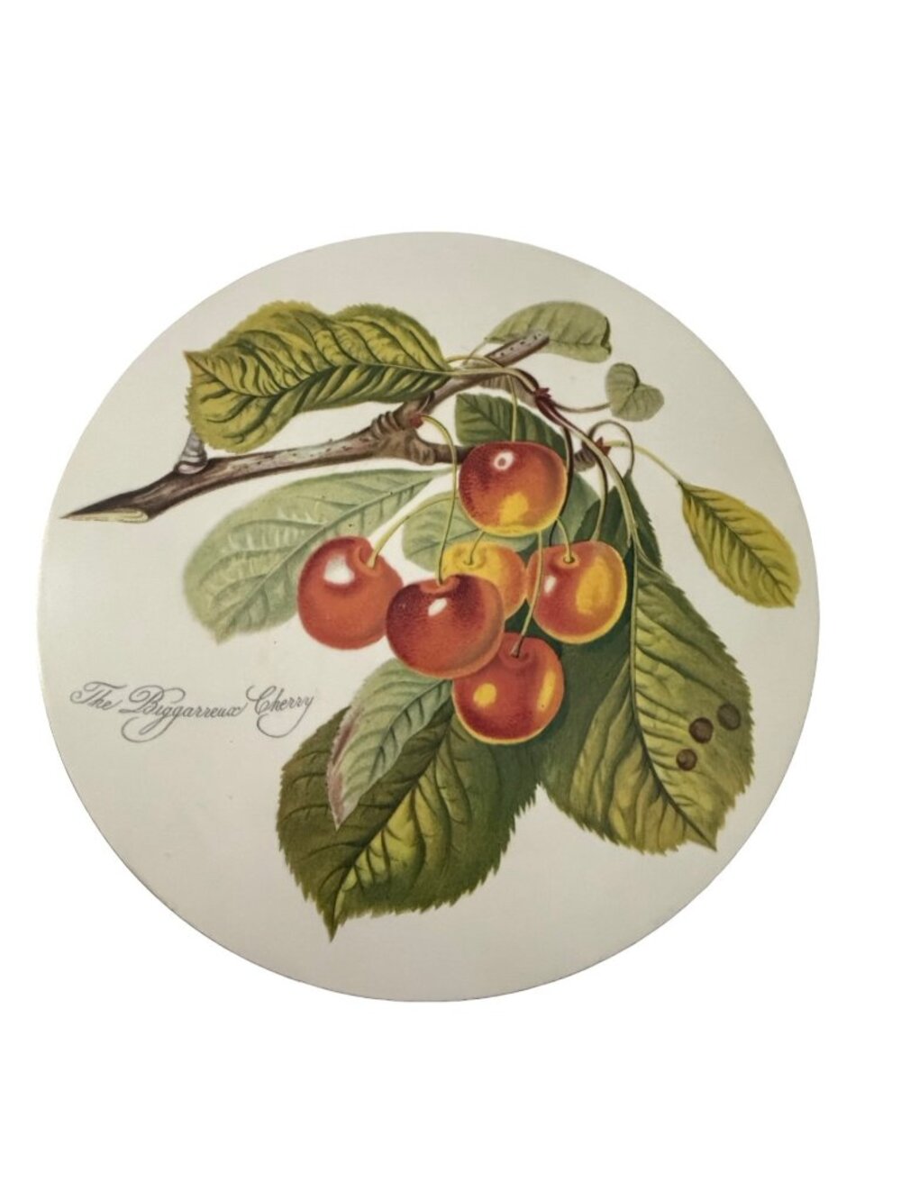 Portmeirion Pomona "The Bigarreau Cherry" Cork Back Trivet Susan Williams-Ellis